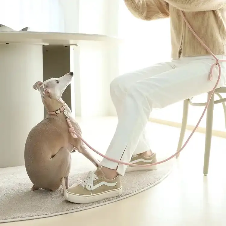 3-Way Hands-Free Dog Leash - Mustard