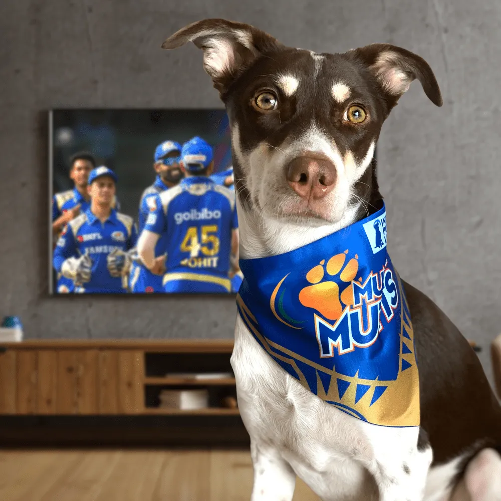 Barkbutler Mumbai Mutts Bandana for Dogs