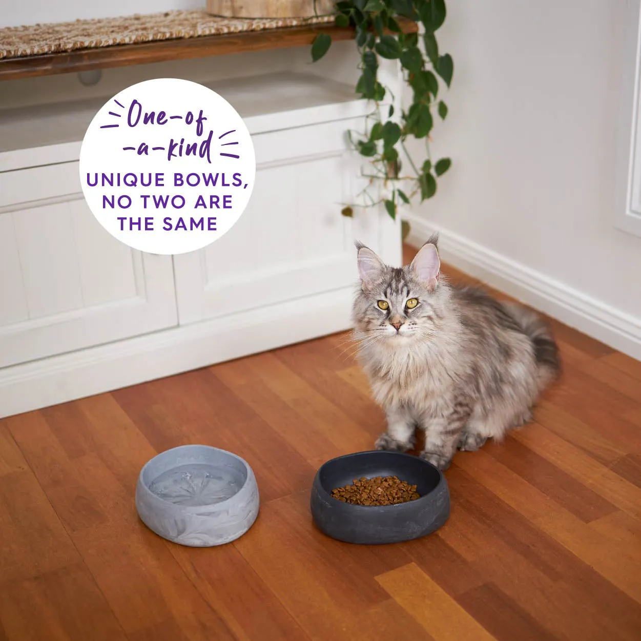 Better Bowl For Cats - Charcoal Black