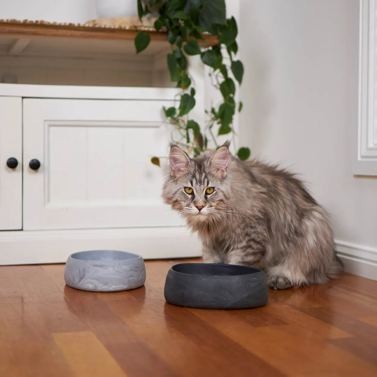 Better Bowl For Cats - Charcoal Black