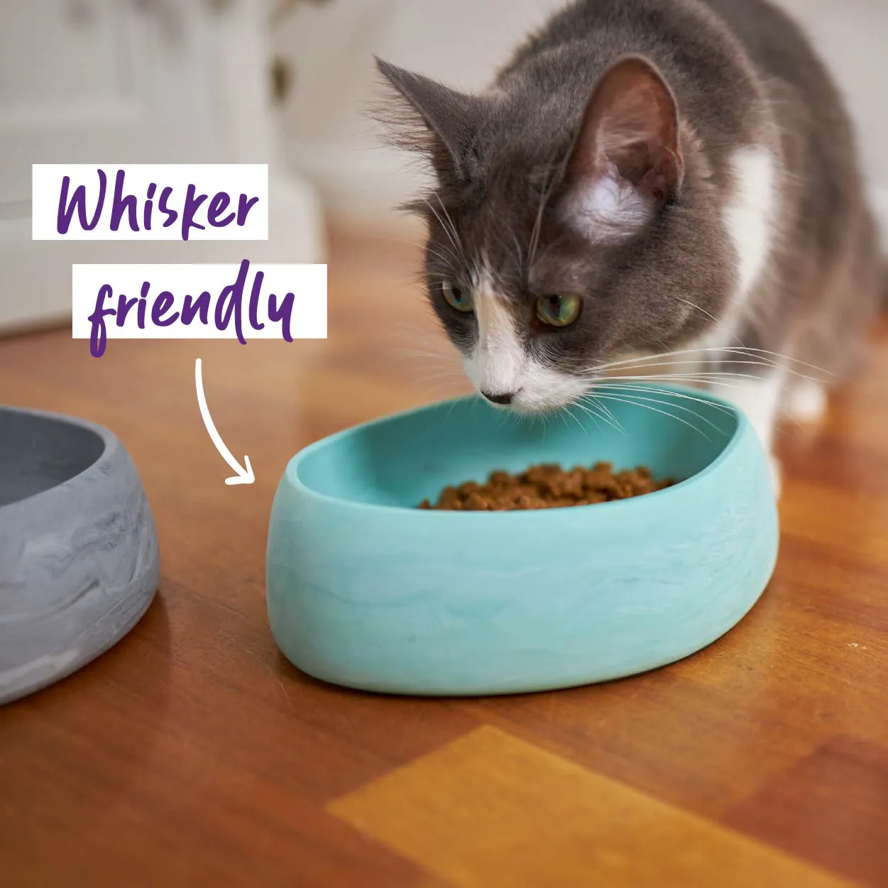 Better Bowl For Cats - Sage Green