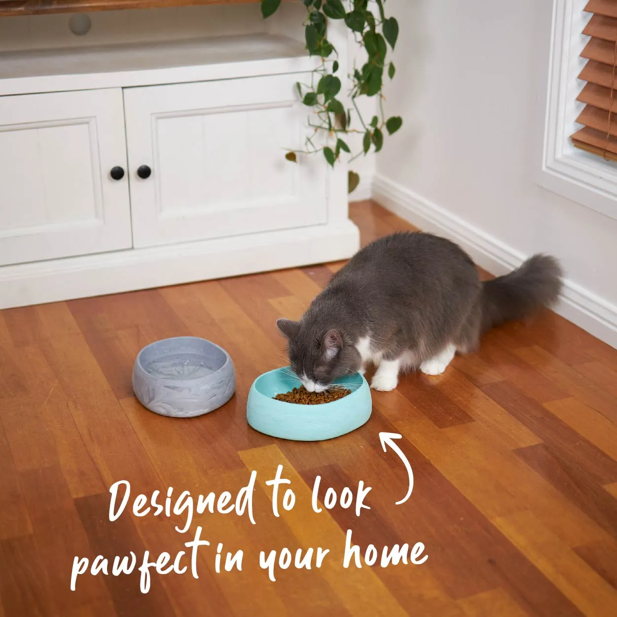 Better Bowl For Cats - Sage Green