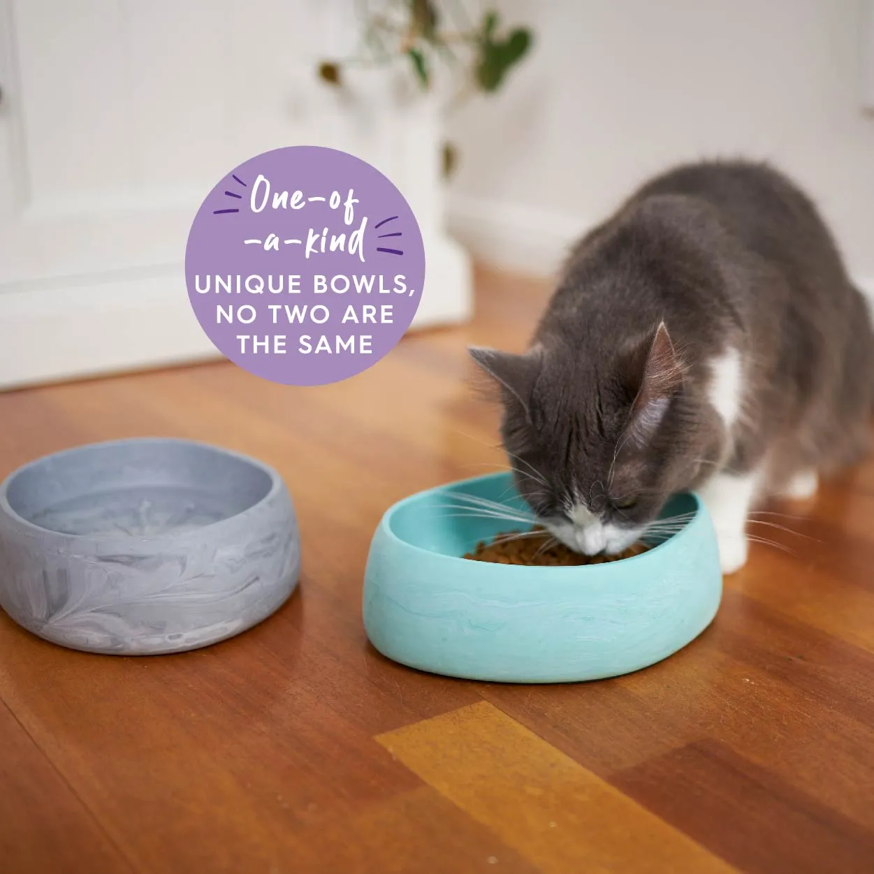 Better Bowl For Cats - Sage Green