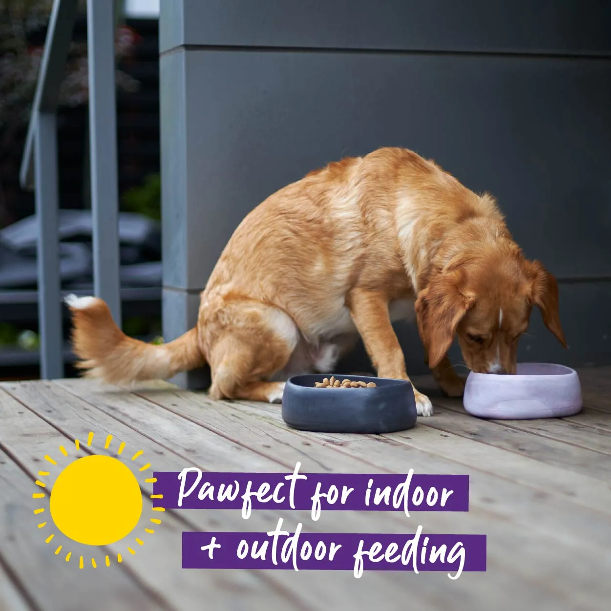 Better Bowl For Dogs - Charcoal Black
