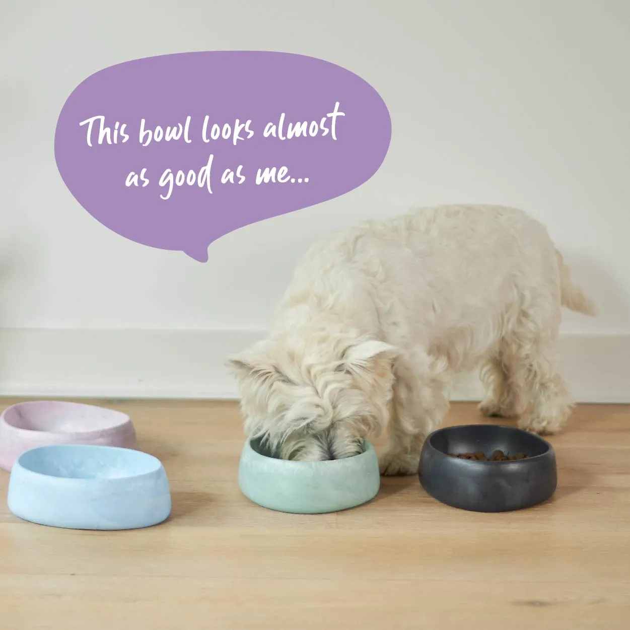 Better Bowl For Dogs - Charcoal Black
