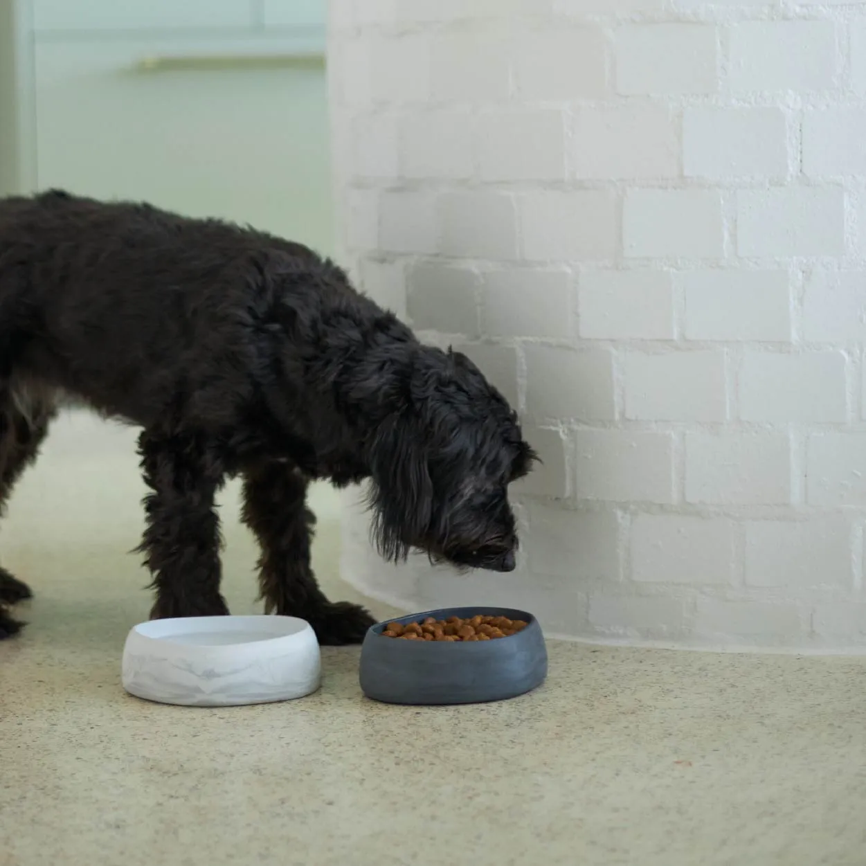 Better Bowl For Dogs - Charcoal Black