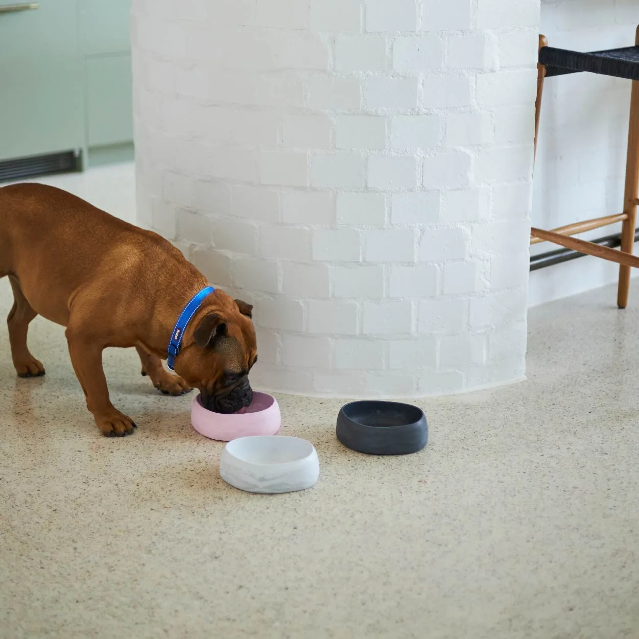 Better Bowl For Dogs - Charcoal Black