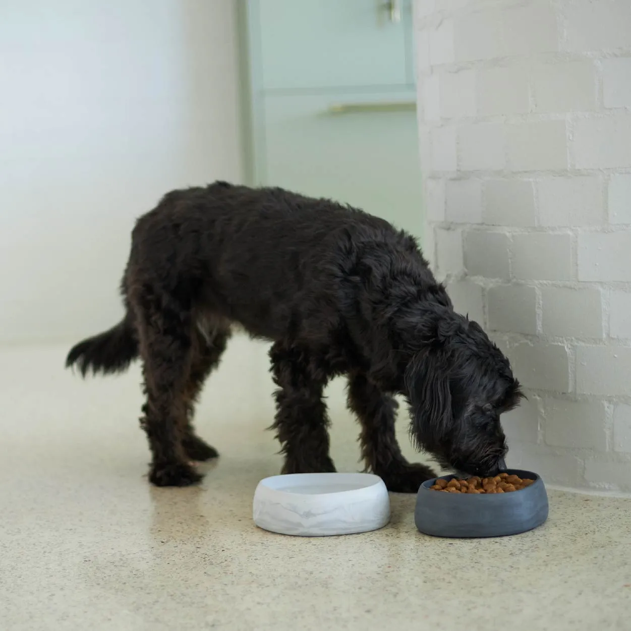 Better Bowl For Dogs - Charcoal Black