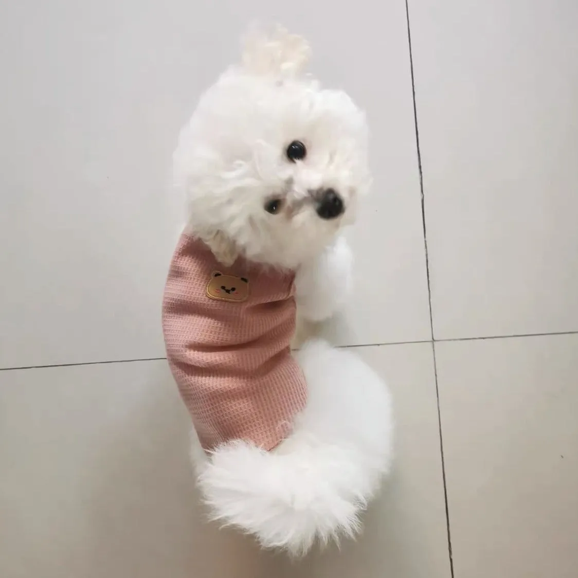 Breathable Bear Printed Cat Dog Vest