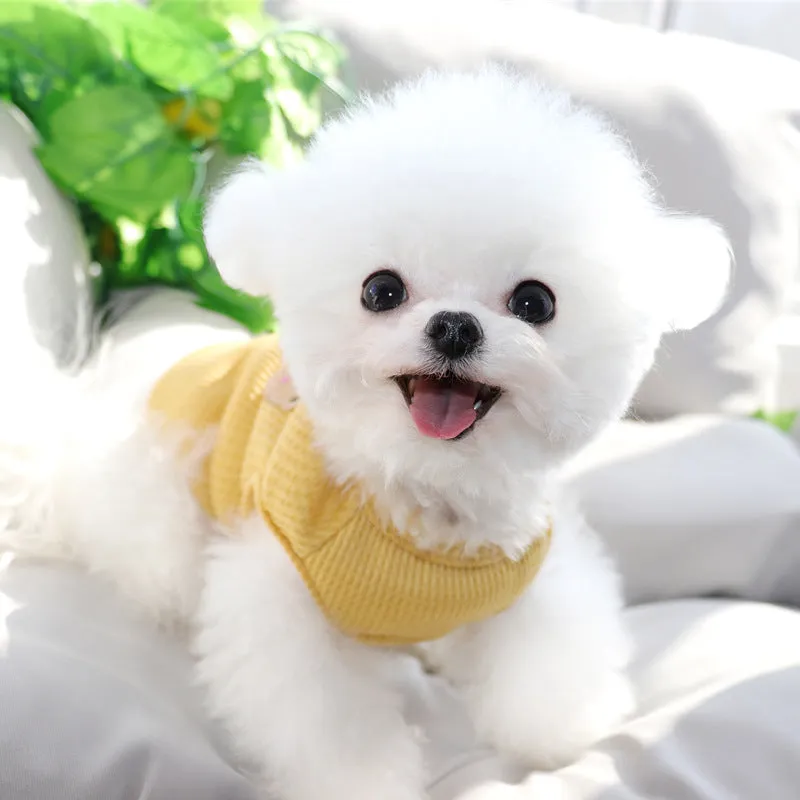 Breathable Bear Printed Cat Dog Vest