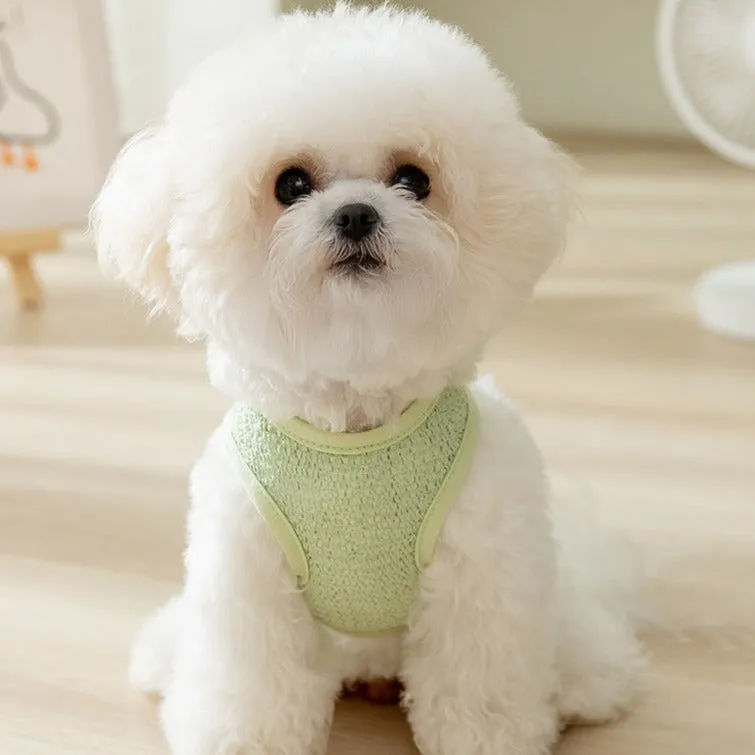 Breathable Bear Printed Dog Harness Vest