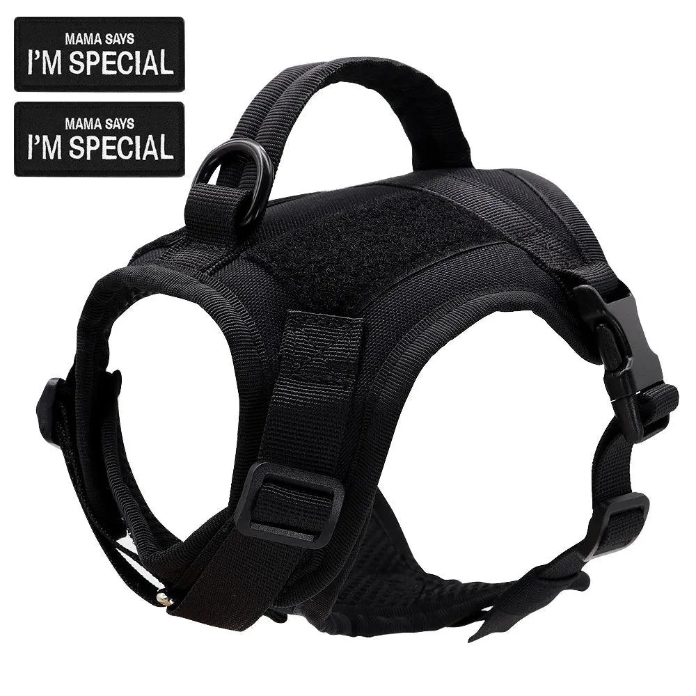 Cat Tactical Harness™ Vest with Handle for Cats­