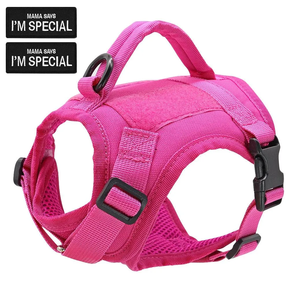 Cat Tactical Harness™ Vest with Handle for Cats­