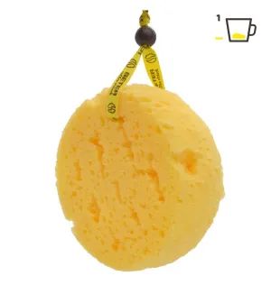 Coffee O clock foam sponge