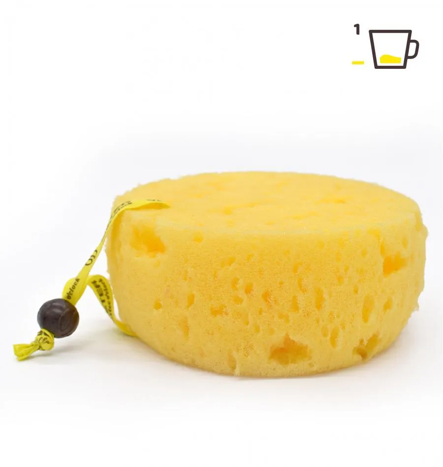 Coffee O clock foam sponge