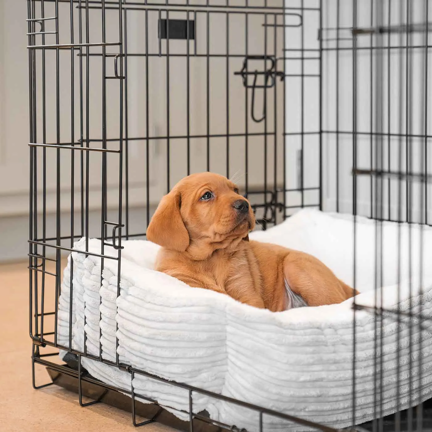 Cosy & Calming Puppy Crate Bed With Removable Covers in Light Grey Essentials Plush by Lords & Labradors