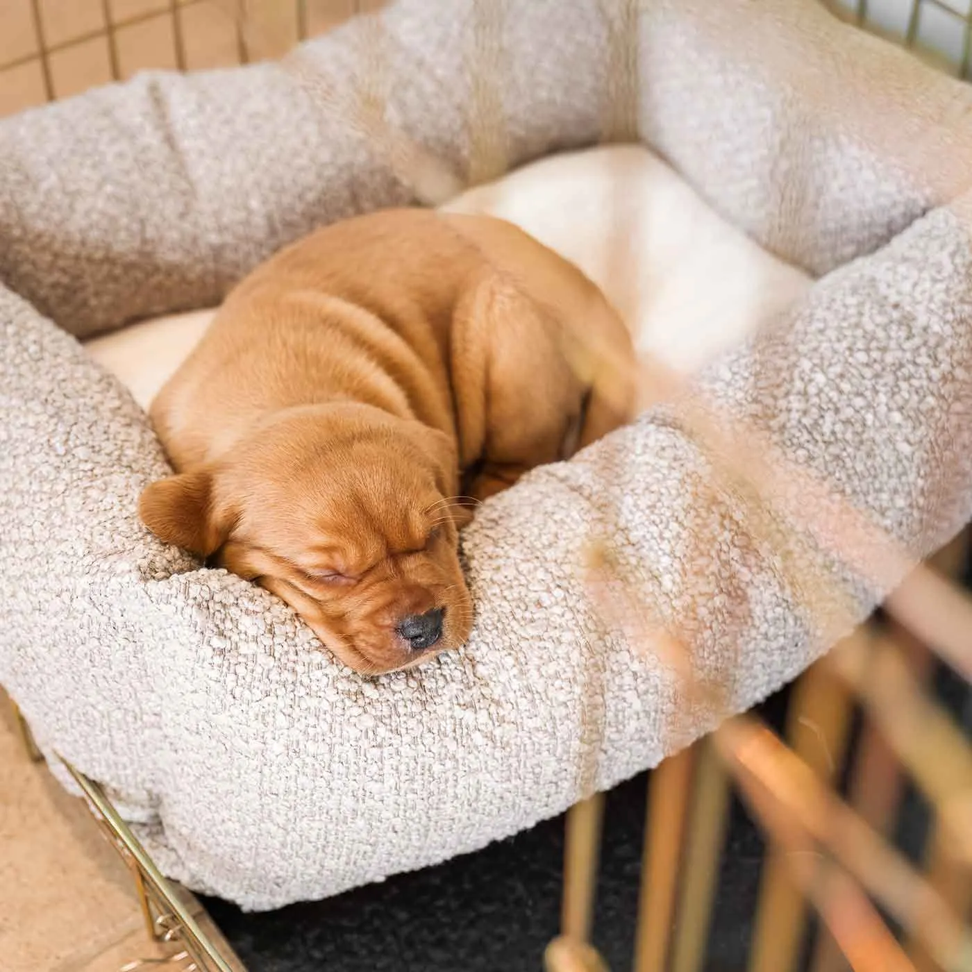 Cosy & Calming Puppy Crate Bed With Removable Covers in Mink Bouclé by Lords & Labradors