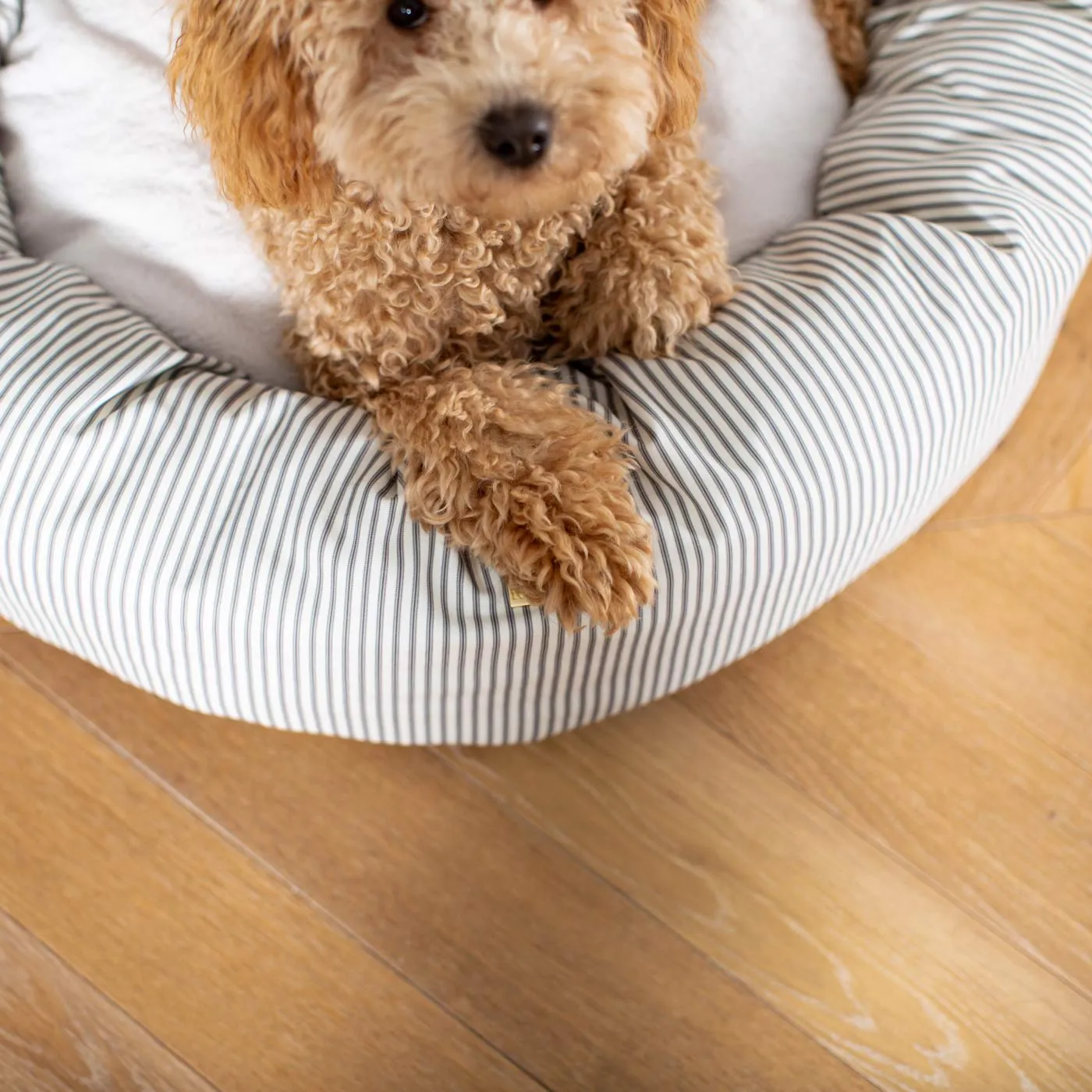 Donut Bed With Removable Covers in Regency Stripe by Lords & Labradors