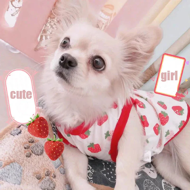 Fashion Dog Vest with Cute Cartoon Print - Breathable Thin T-Shirt for Chihuahuas, Small to Medium Dogs, Pugs, Puppies, Cats, and Stylish Pets