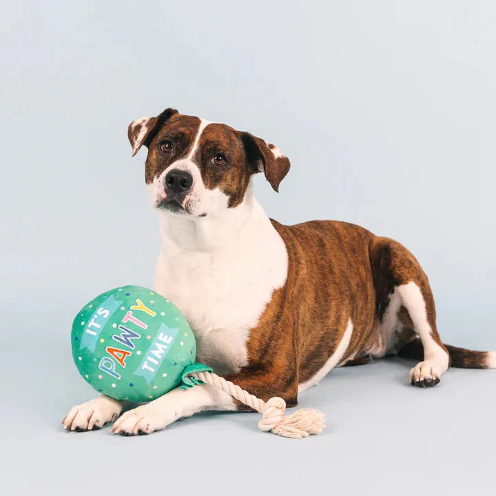 Fringe Dog Toy Birthday I Pawty, You Pawty