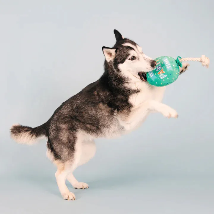Fringe Dog Toy Birthday I Pawty, You Pawty