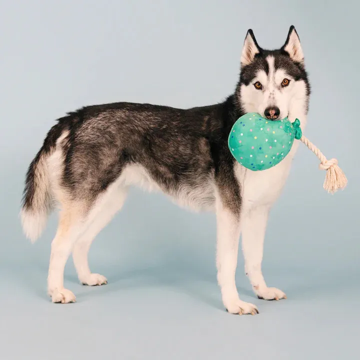 Fringe Dog Toy Birthday I Pawty, You Pawty