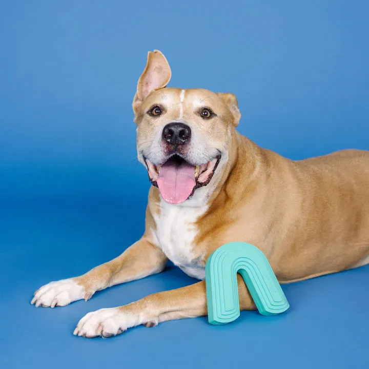 Fringe Dog Toy Rubber Color Me Happy