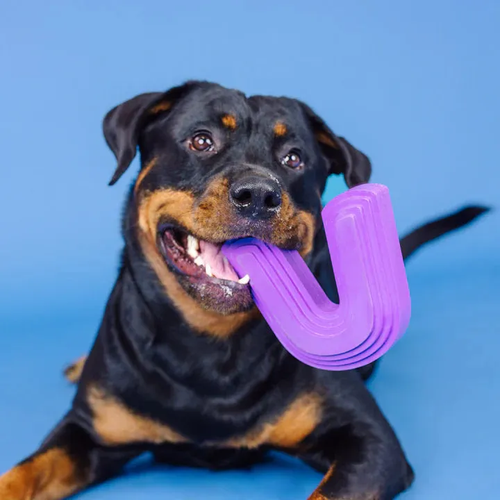 Fringe Dog Toy Rubber Color Me Happy