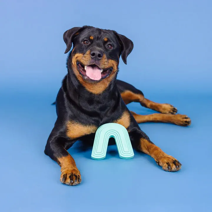 Fringe Dog Toy Rubber Color Me Happy