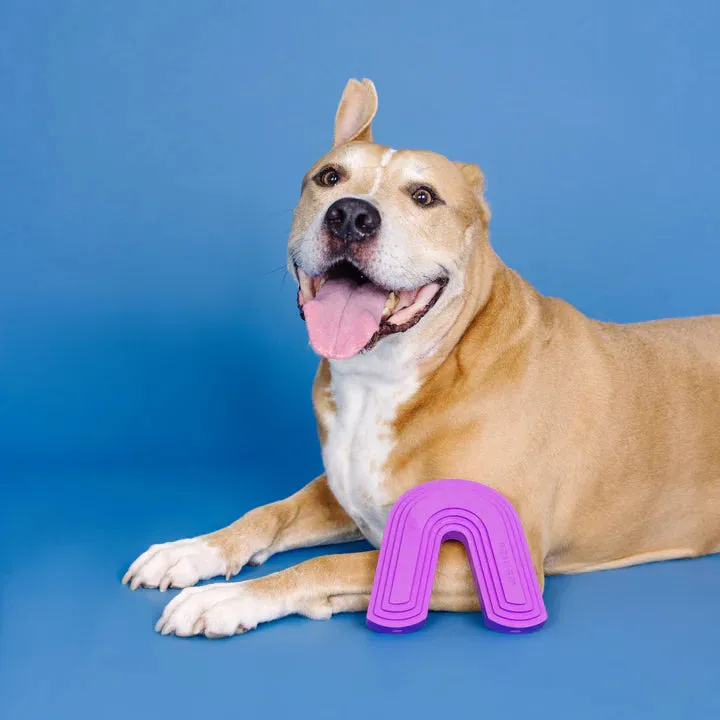 Fringe Dog Toy Rubber Color Me Happy