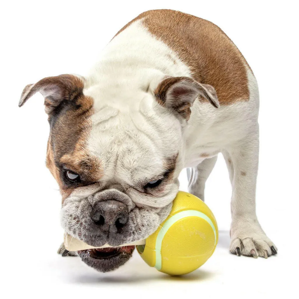 GURU Tennis Treat Holder Ball Dog Toy, Medium