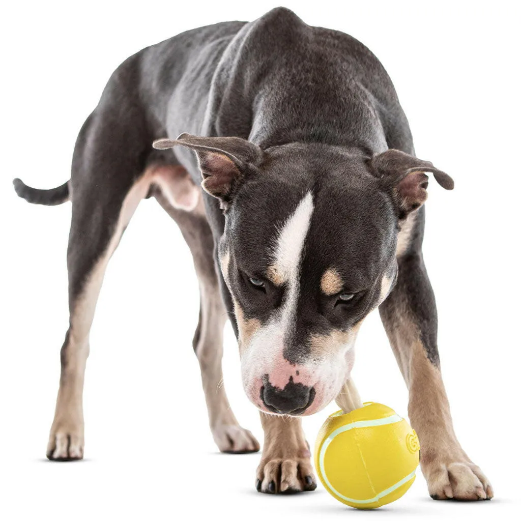 GURU Tennis Treat Holder Ball Dog Toy, Medium
