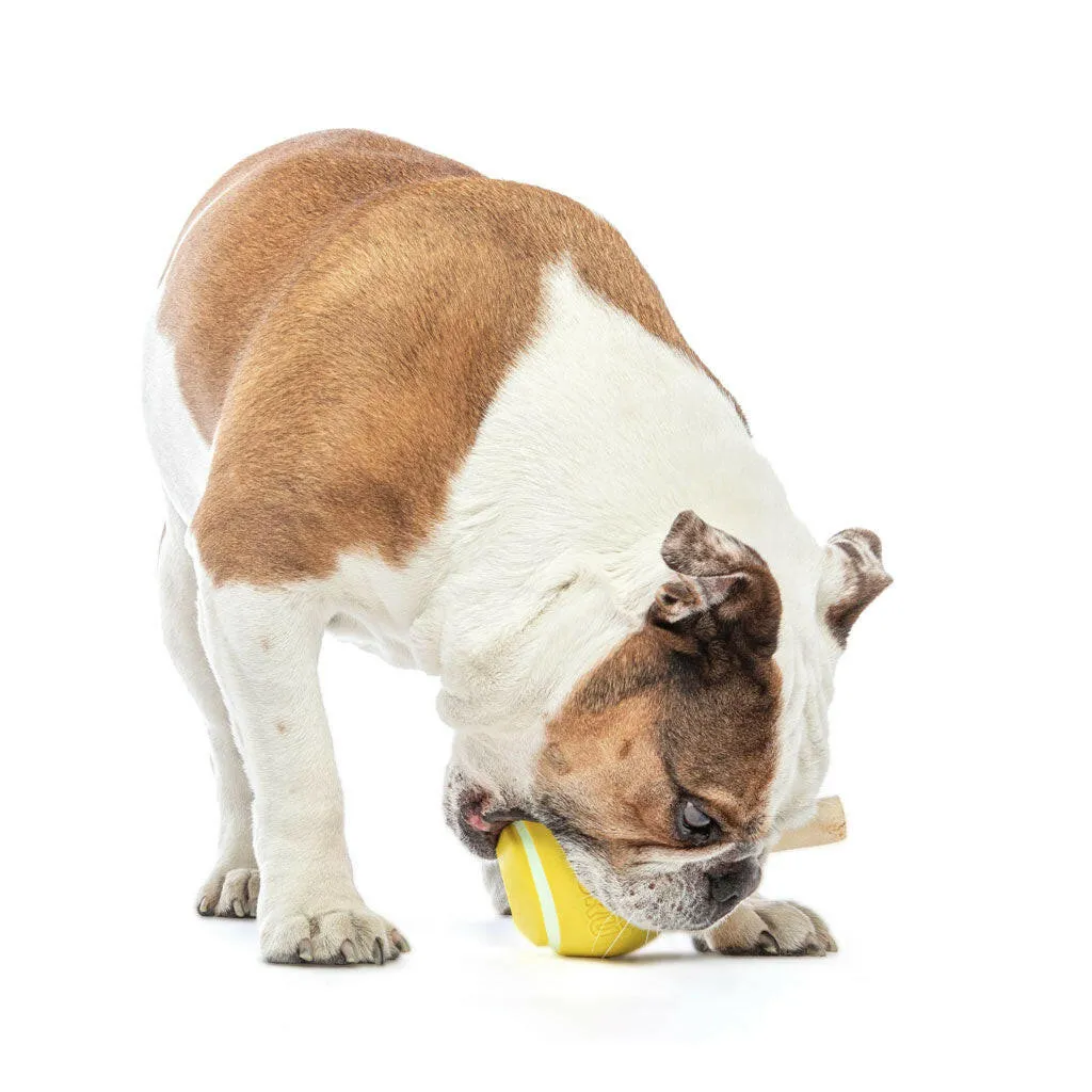 GURU Tennis Treat Holder Ball Dog Toy, Medium