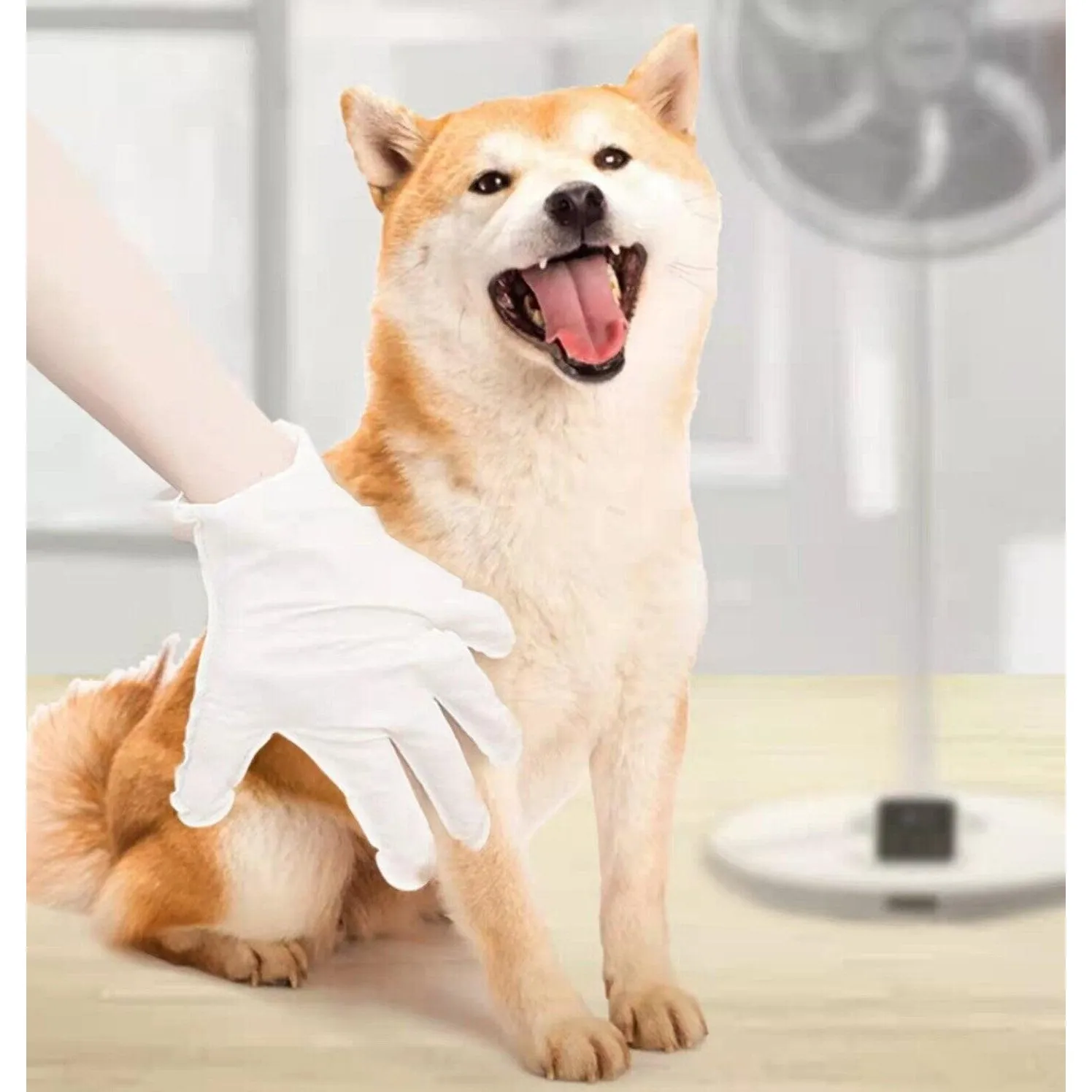 KOJIMA Pet Cleaning Gloves Bath Gloves For Cat & Dog (6pcs)