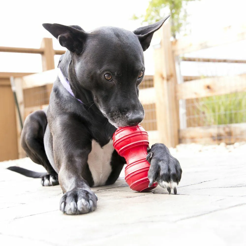 Kong Dental Dumbbell