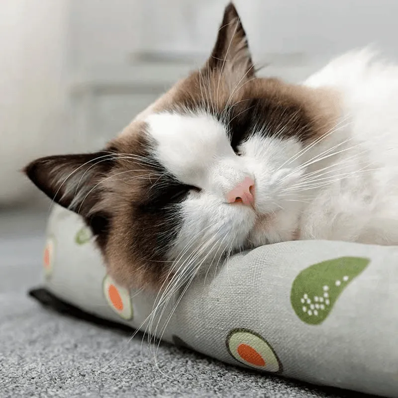 Pet Ice Pad Mat