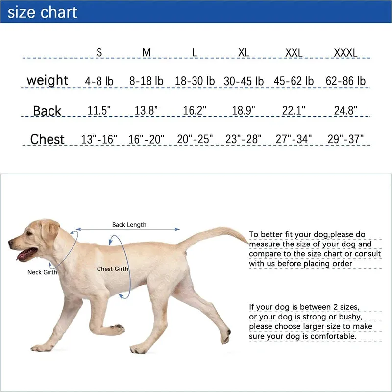 Pet Recovery Suit