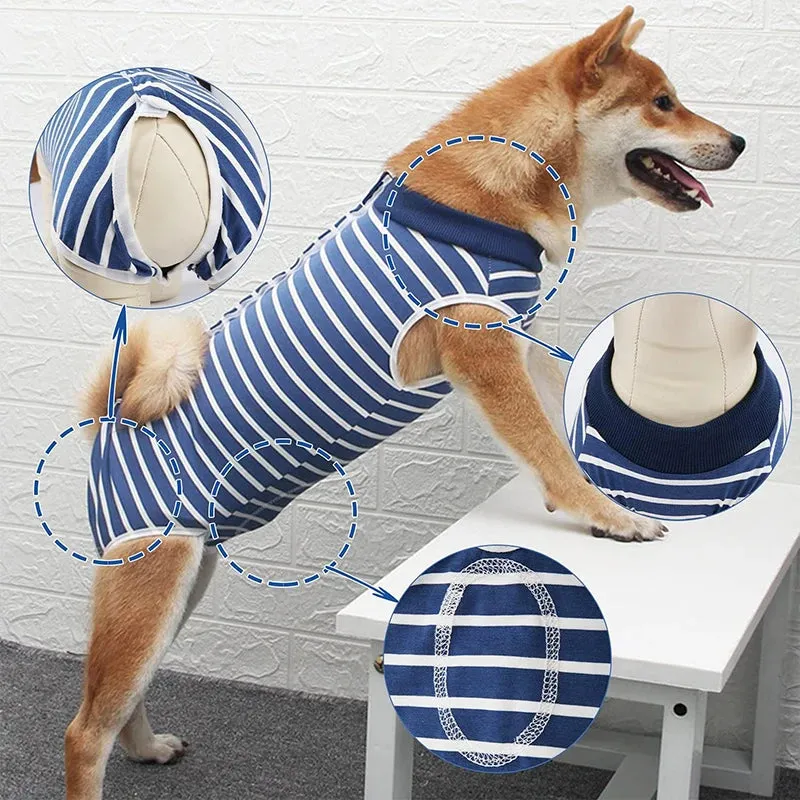 Pet Recovery Suit