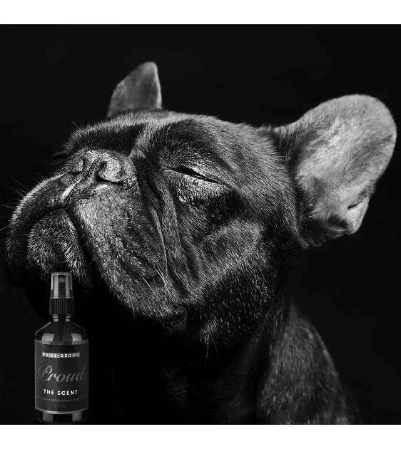 Pride   Groom Proud The Scent All-Natural Dog, Human & Home Spray