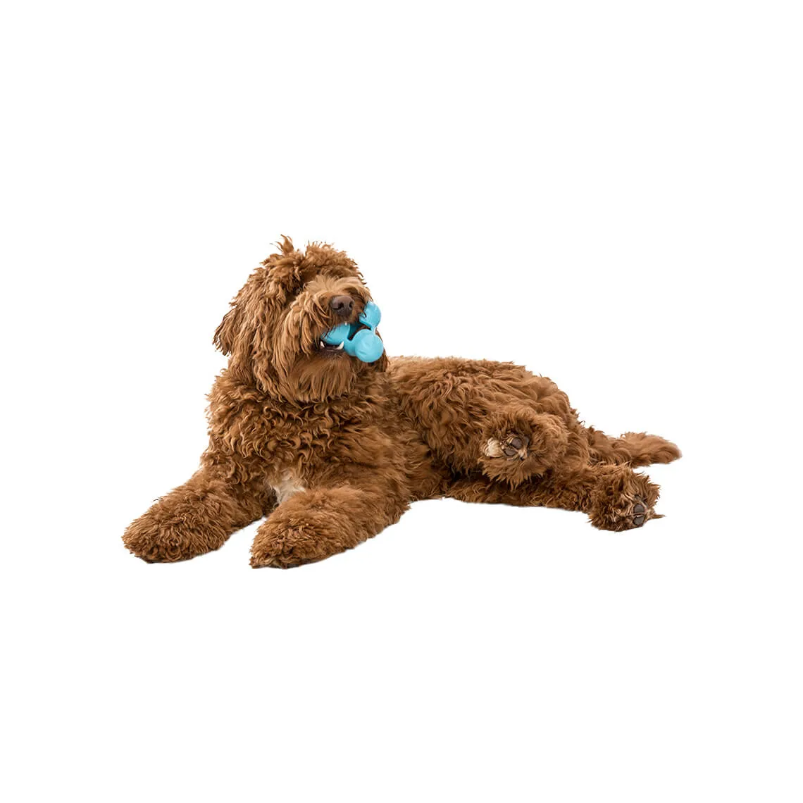 West Paw Zogoflex Large Tux Toy for Dogs