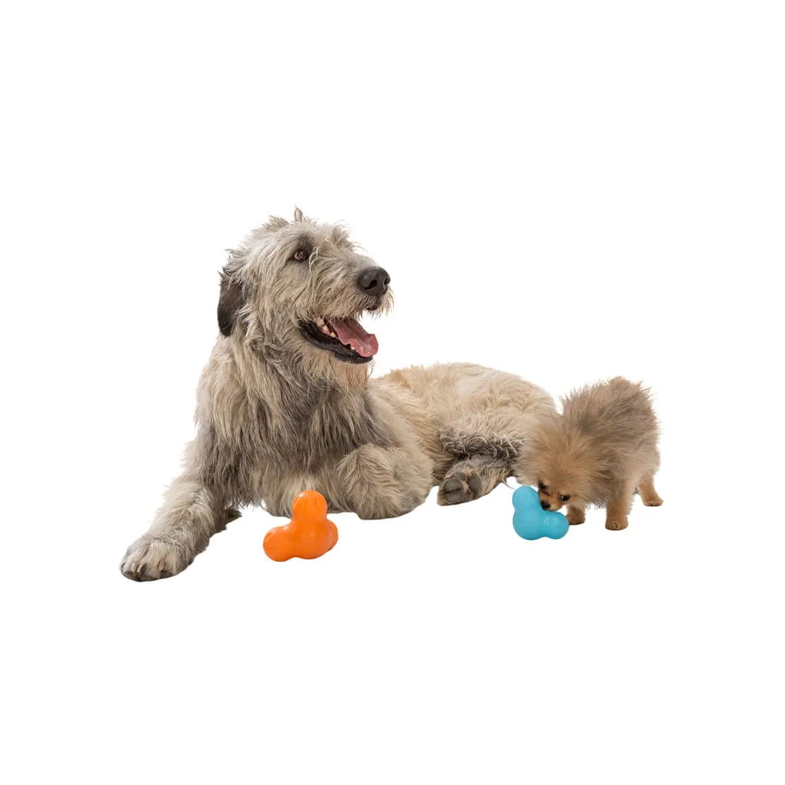 West Paw Zogoflex Large Tux Toy for Dogs