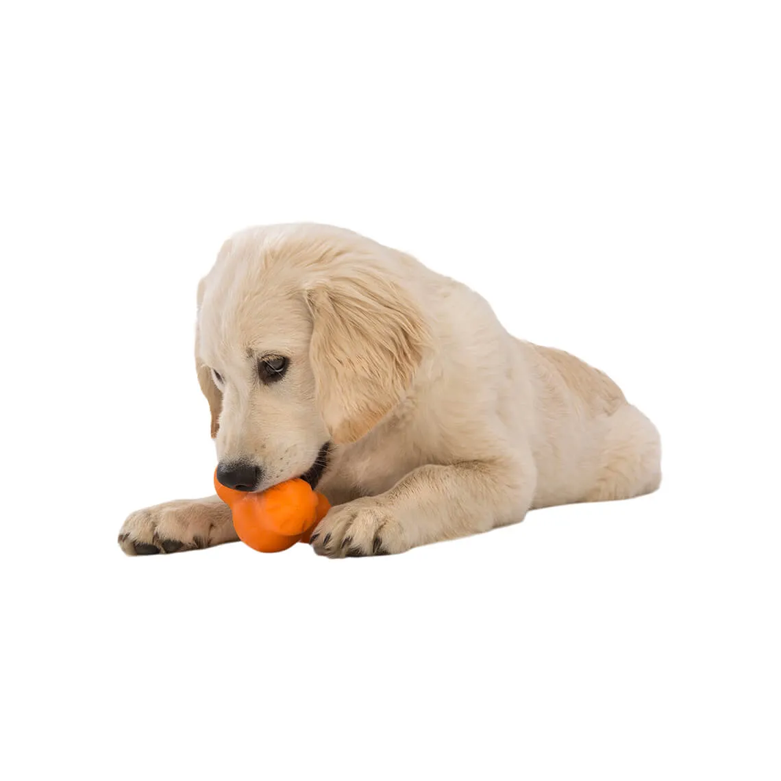 West Paw Zogoflex Large Tux Toy for Dogs