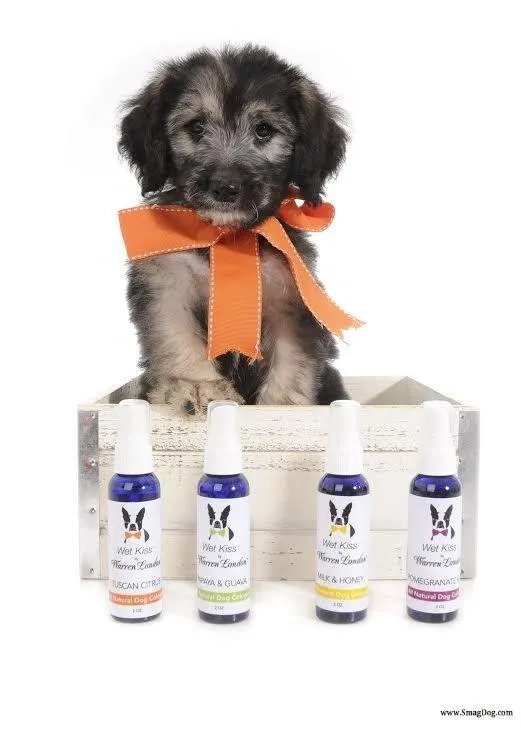 Wet Kiss Dog Cologne By Warren London - 2 Oz or 16 Oz