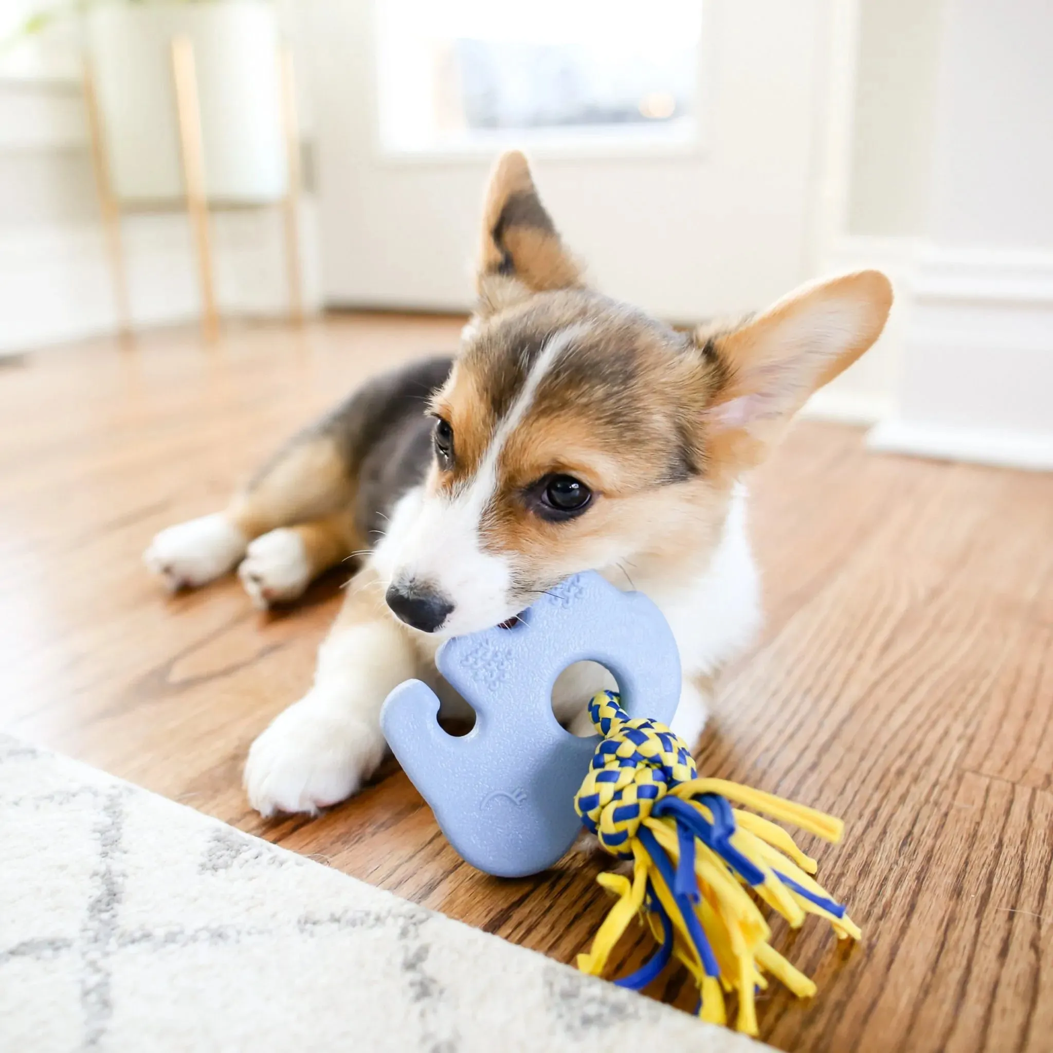 ZippyPaws ZippyTuff Dog Toy Teetherz